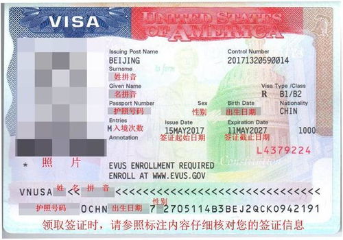 美国旅游签证（B-2）与商务签证（B-1）通过率对比解析 专注旅游业务